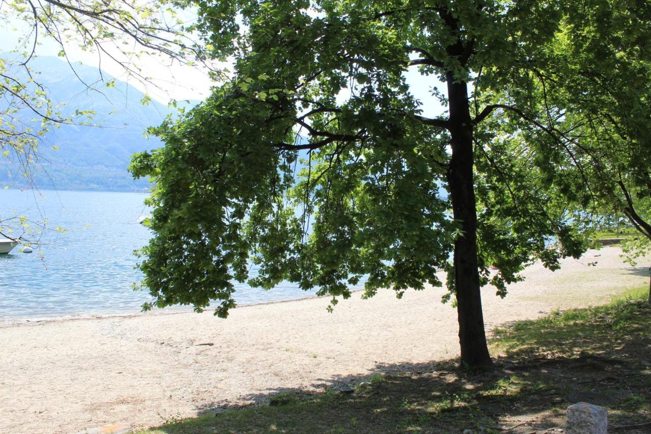 Appartamento Con Terrazza A Due Minuti Dal Lago Minusio Exteriör bild